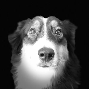 Meet your Posher, Kathrin